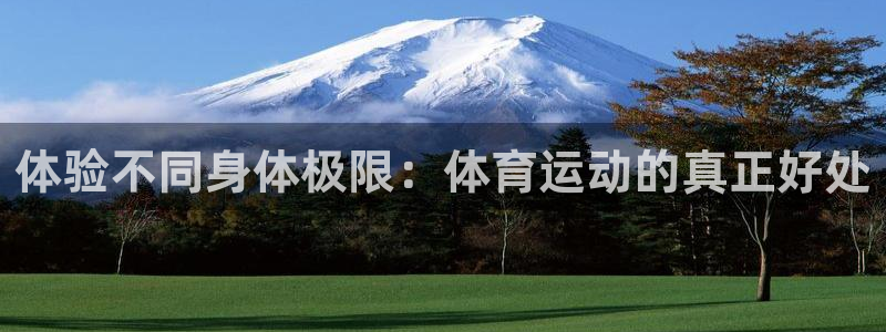 6t体育官方网站入口