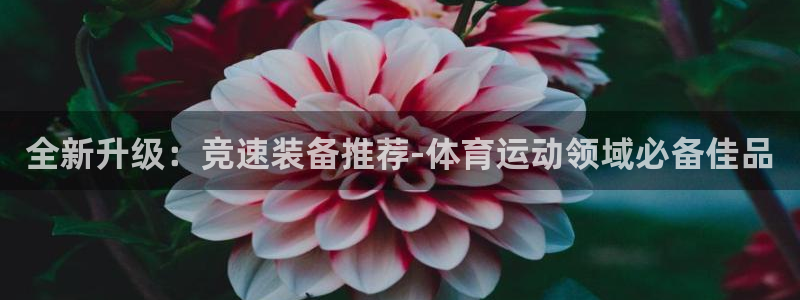 6T体育网