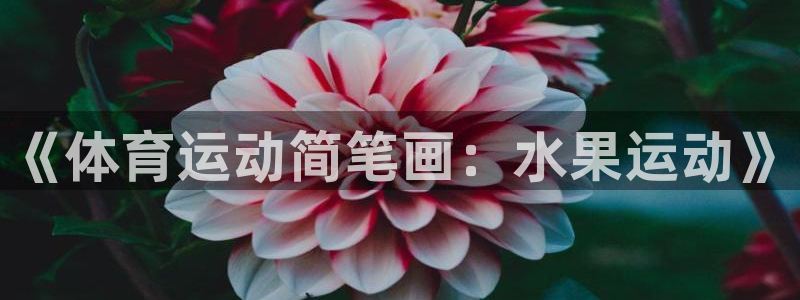 6T体育平台怎么样?：《体育运动简笔画：水果运动》