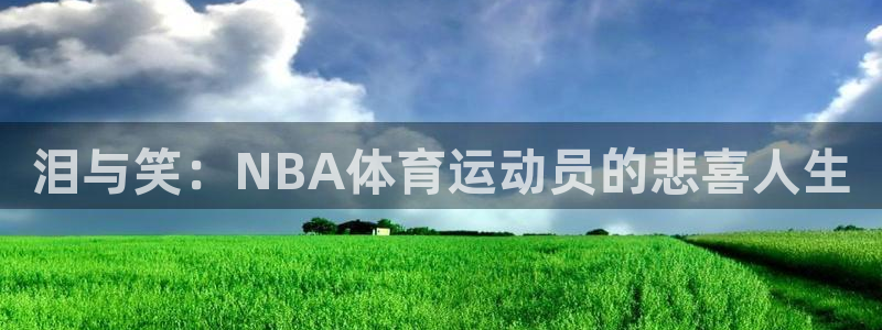 6t体育官网