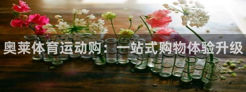 6t体育下载地址