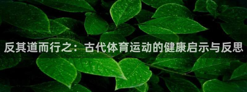 6t体育提款
