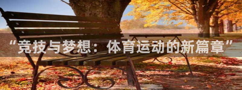 6T体育平台注册