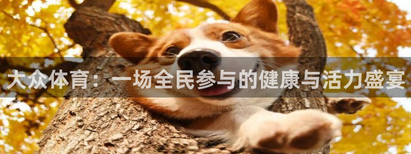 6t体育旧版：大众体育：一场全民参与的健康与活力盛宴